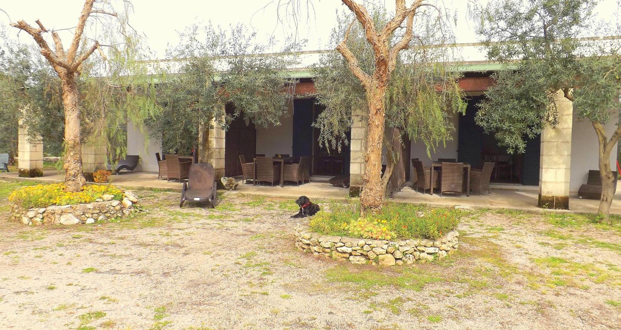 B&B Lu Palummaru Palmariggi Bagian luar foto