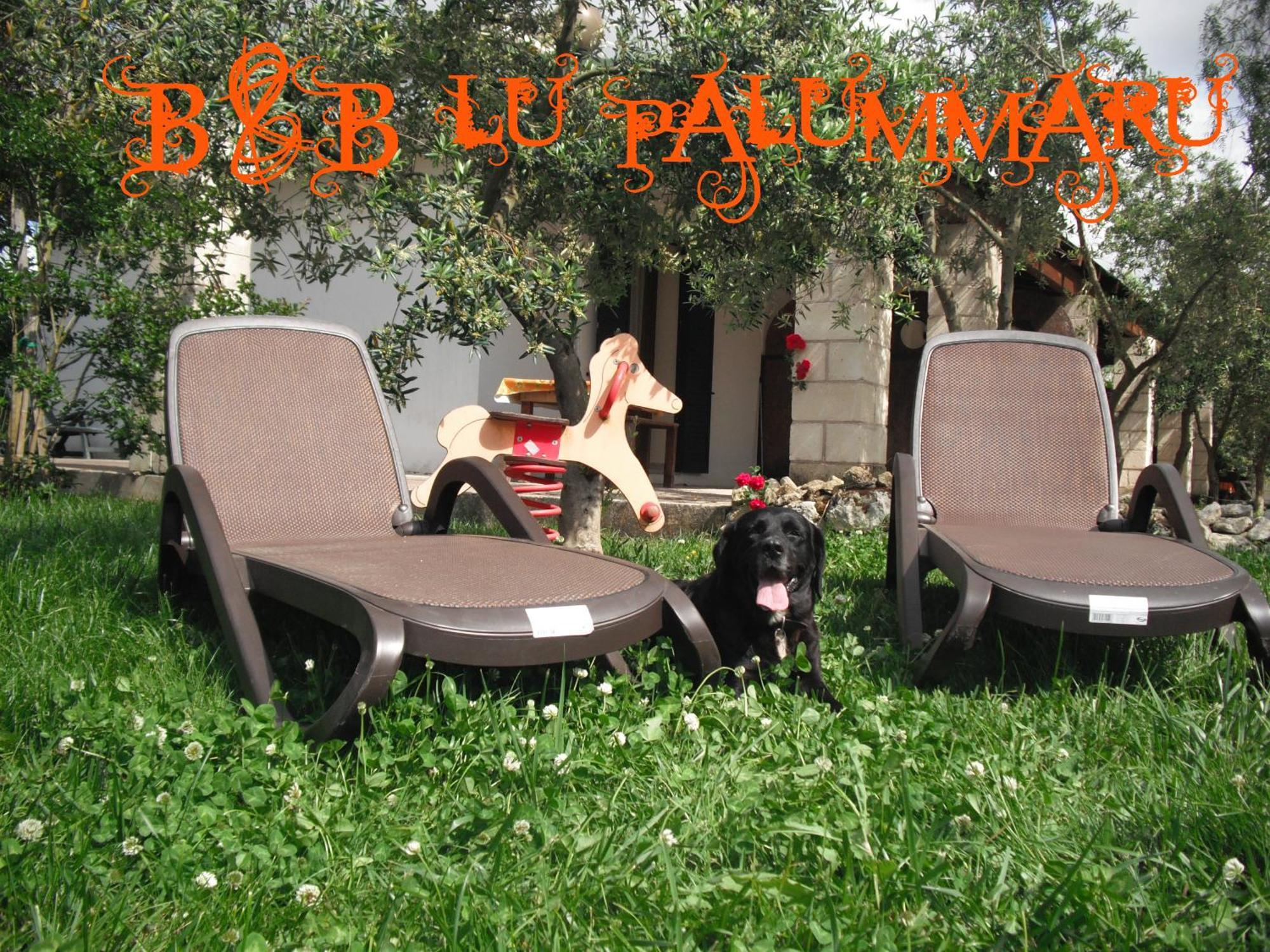 B&B Lu Palummaru Palmariggi Bagian luar foto