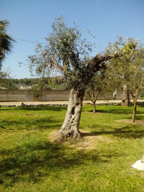 B&B Lu Palummaru Palmariggi Bagian luar foto